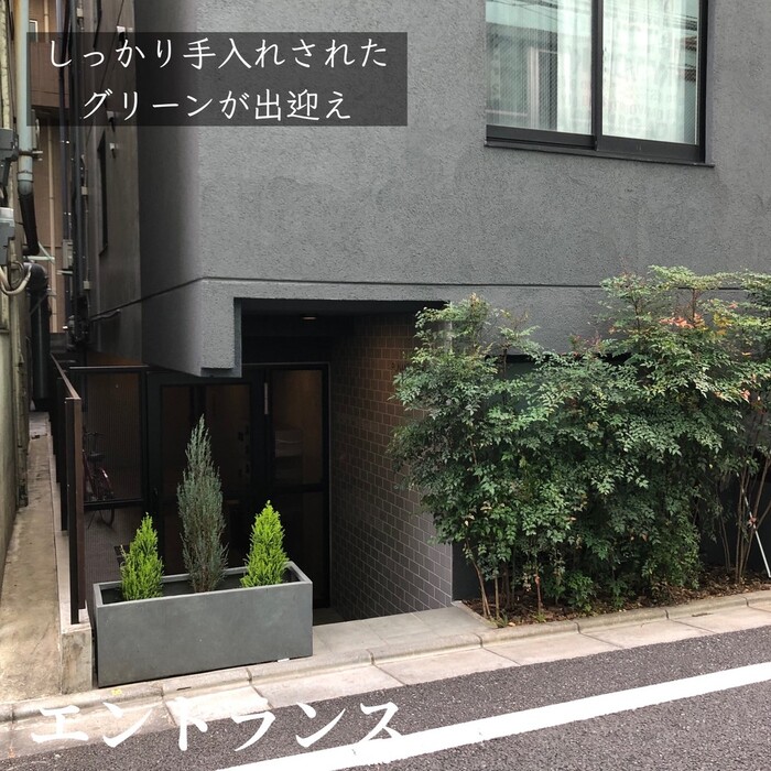 画像284