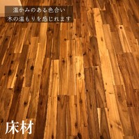 画像285