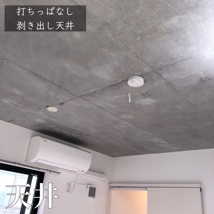 画像296