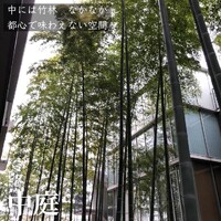 画像335