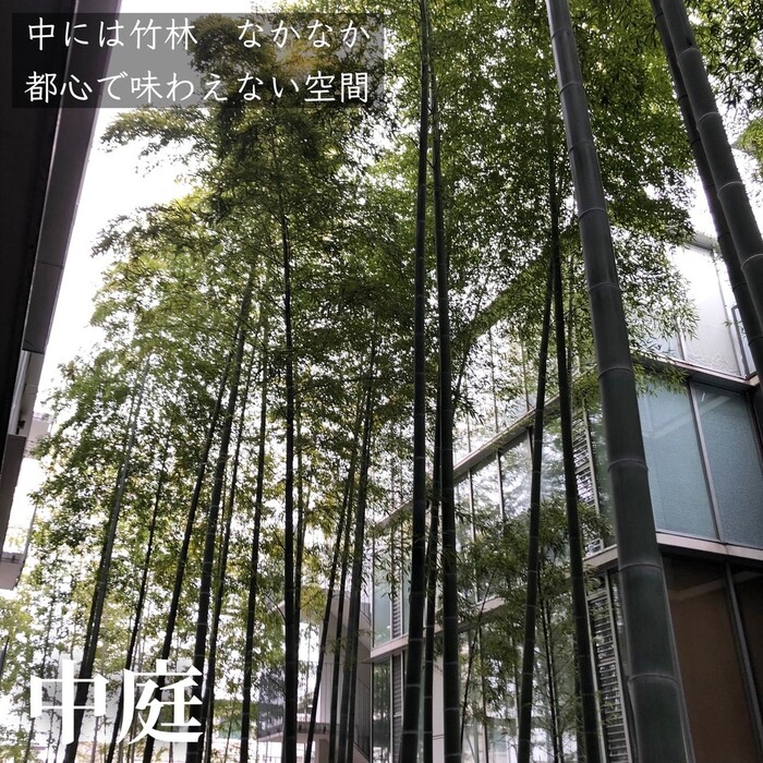 画像335